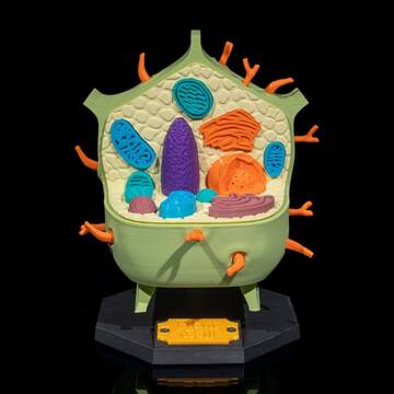 Célula vegetal